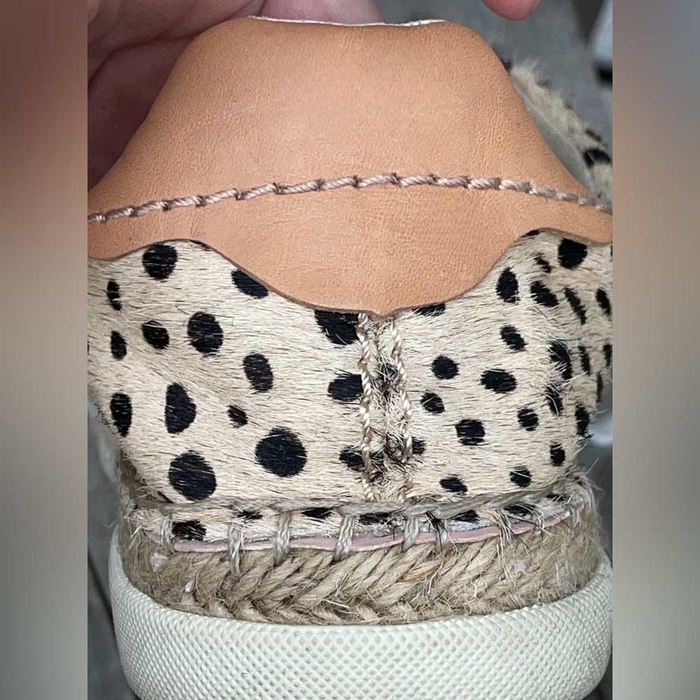 Dolce Vita Size 8.5 Women’s Madox Calf Hair Leopard-Print Sneakers •Low Top EGUC - Picture 14 of 16